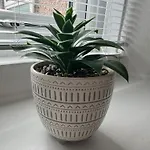 Holly House- 2 Bed Whitehaven