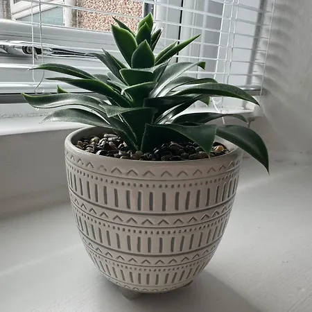 Holly House- 2 Bed Whitehaven